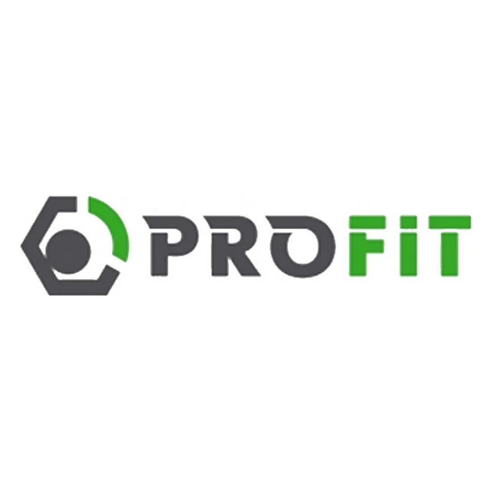 Повітряний фільтр для автомобіля Profit 1512-3094