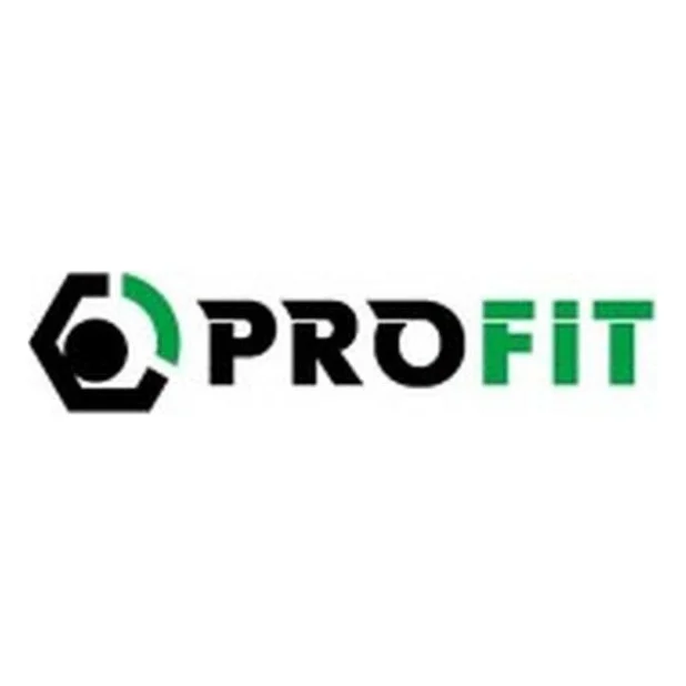 Повітряний фільтр для автомобіля Profit 1512-4267