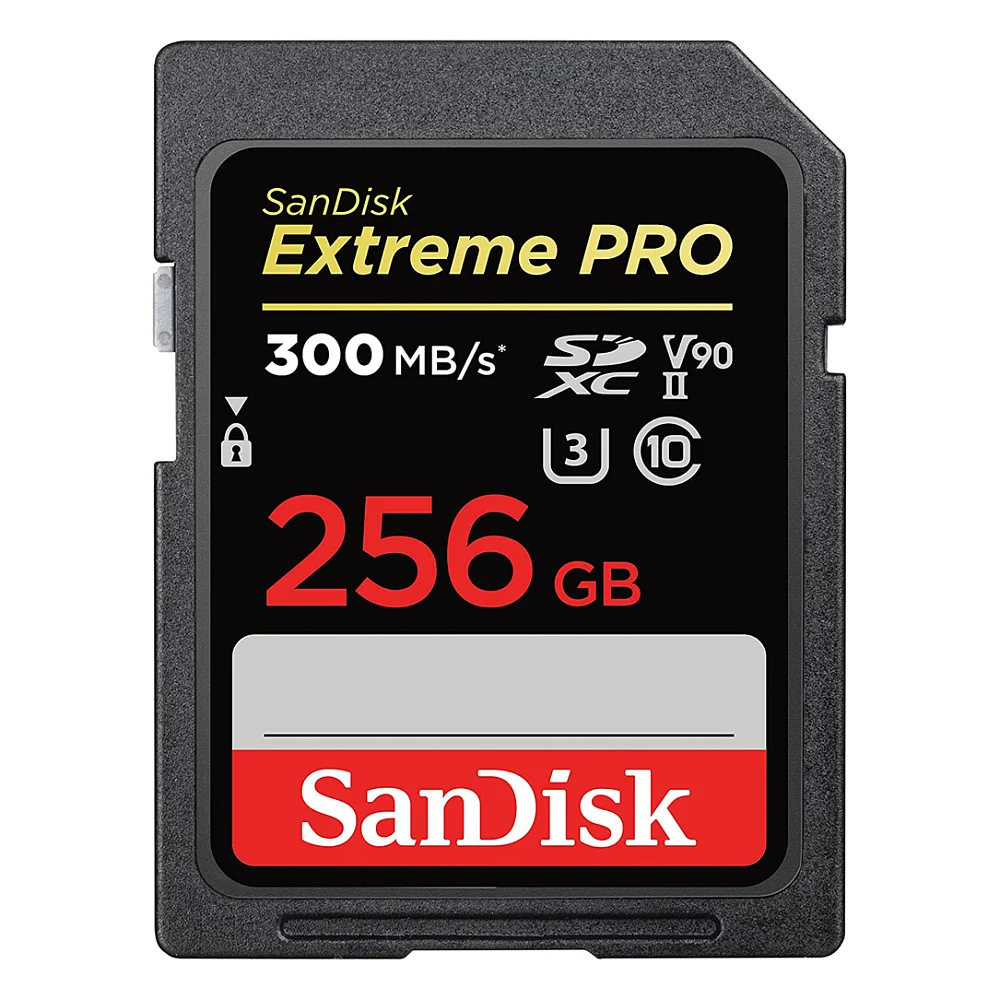 Карта пам'яті SanDisk 256GB SDXC class 10 Extreme Pro (SDSDXDK-256G-GN4IN)