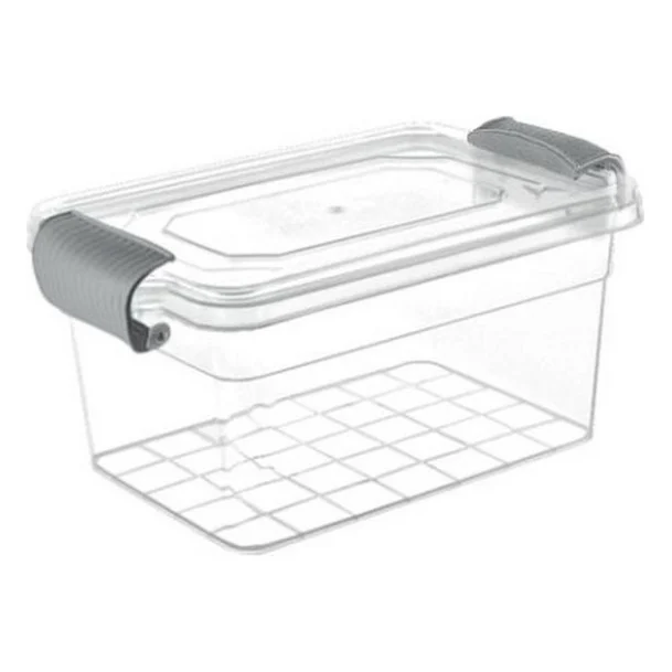 Харчовий контейнер Violet House Family Box Grey 1 л (0461 FAMILY BOX прям. 1 л)