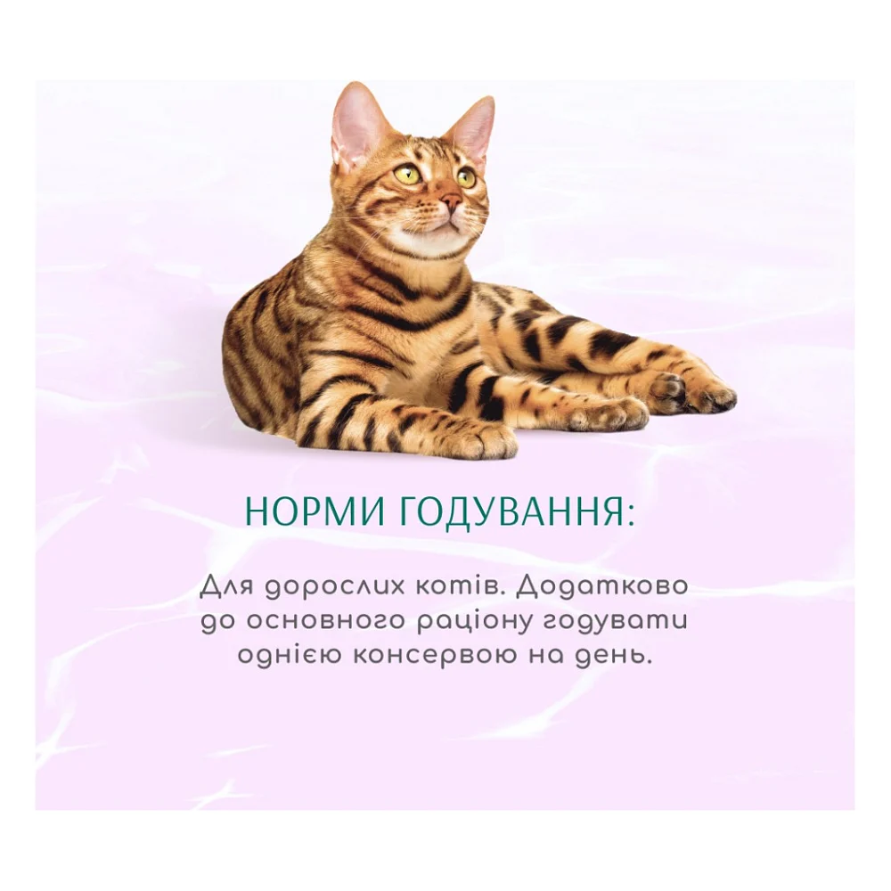 Консерви для котів Optimeal Beauty Harmony смугастий тунець у желе з водоростями 70 г (4820215366236) — фото 4