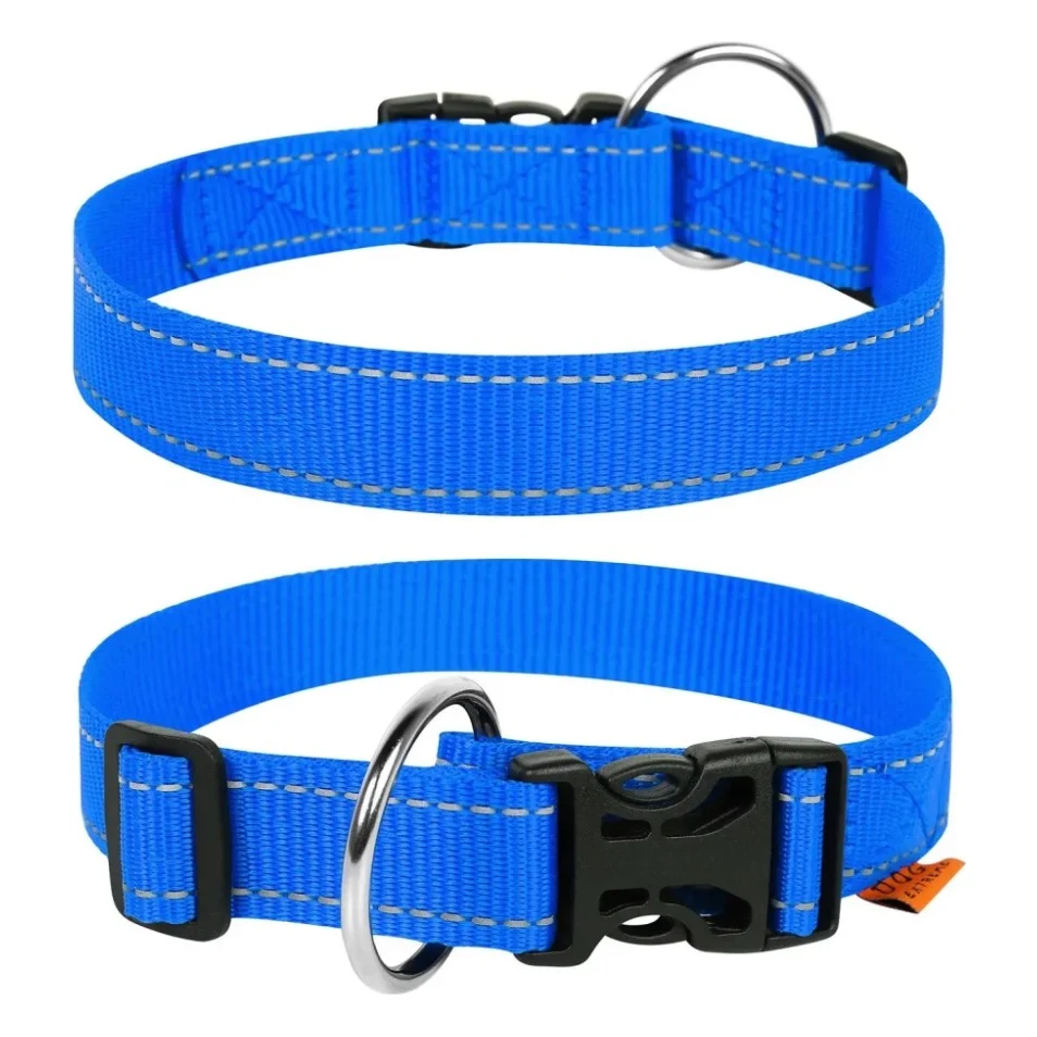 Нашийник для тварин Collar Dog Extremе 25 мм 31-49 см (блакитний) (02522)