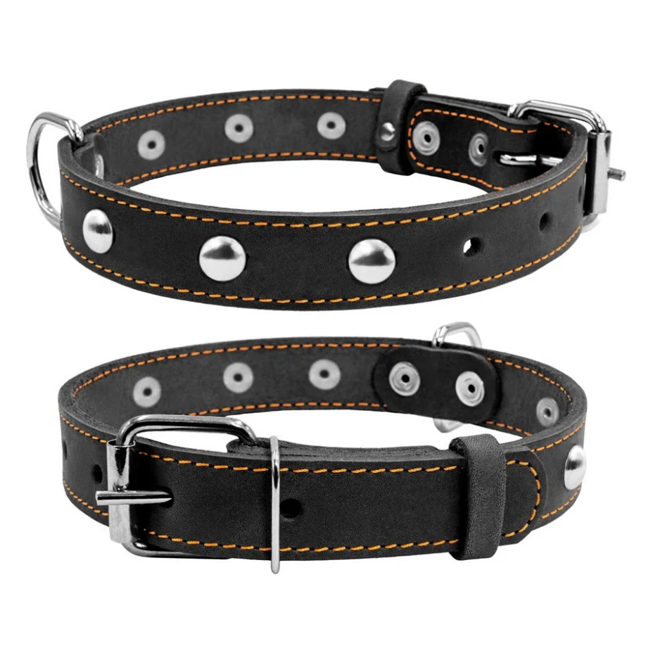 Нашийник для тварин Collar одинарний з прикрасами Ш 25 мм Д 38-50 см чорний (02231)