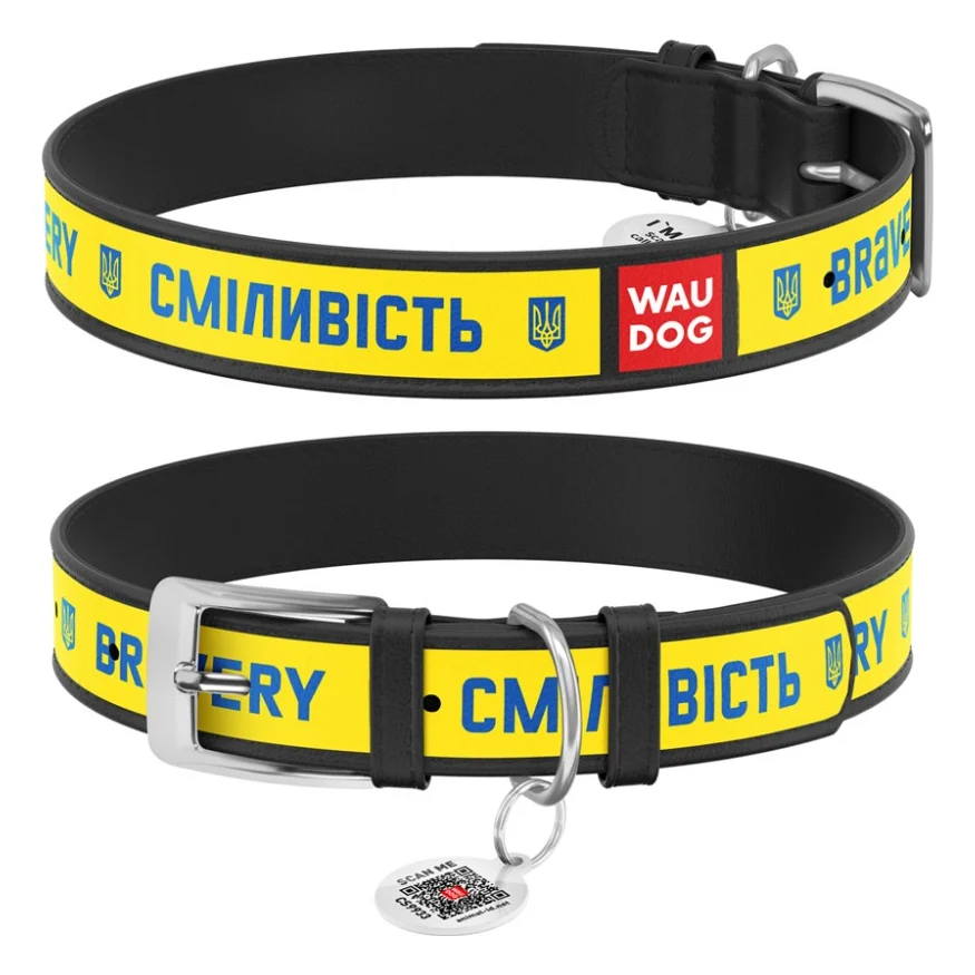 Нашийник для тварин WAUDOG Design з QR паспортом "Сміливість" Ш 12 мм Д 18-24 см чорний (3601-0231-01)