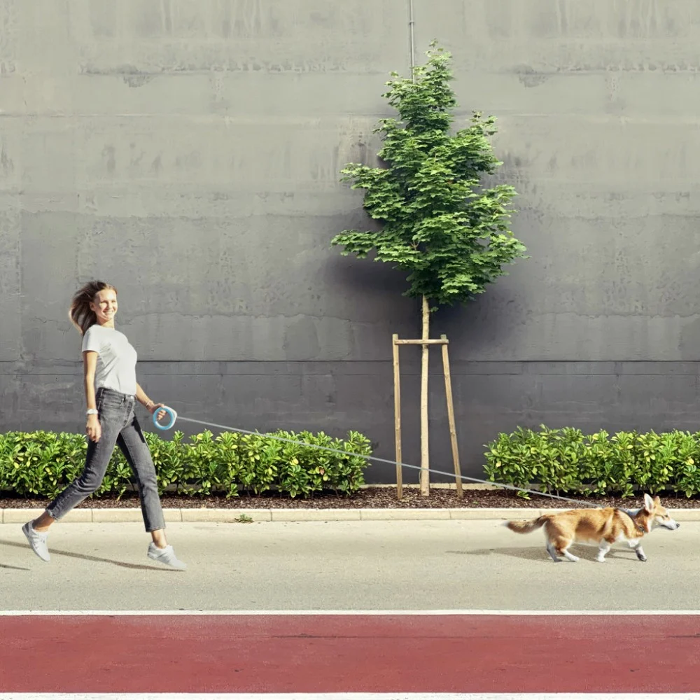 Повідок для собак WAUDOG R-leash світловідбиваюча стрічка XS-M до 40 кг 2.9 м блакитни (81272) — фото 5