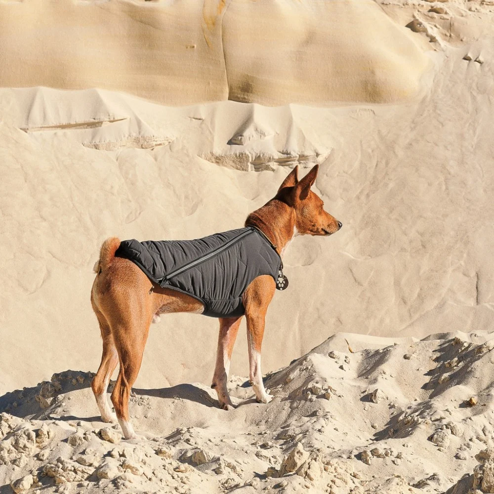 Жилет для тварин Pet Fashion "E.Vest" S-M сірий (4823082424382) — фото 5