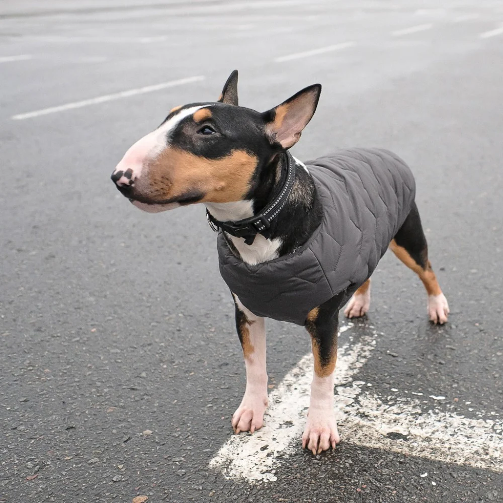 Жилет для тварин Pet Fashion "E.Vest" XL сірий (4823082424429) — фото 4