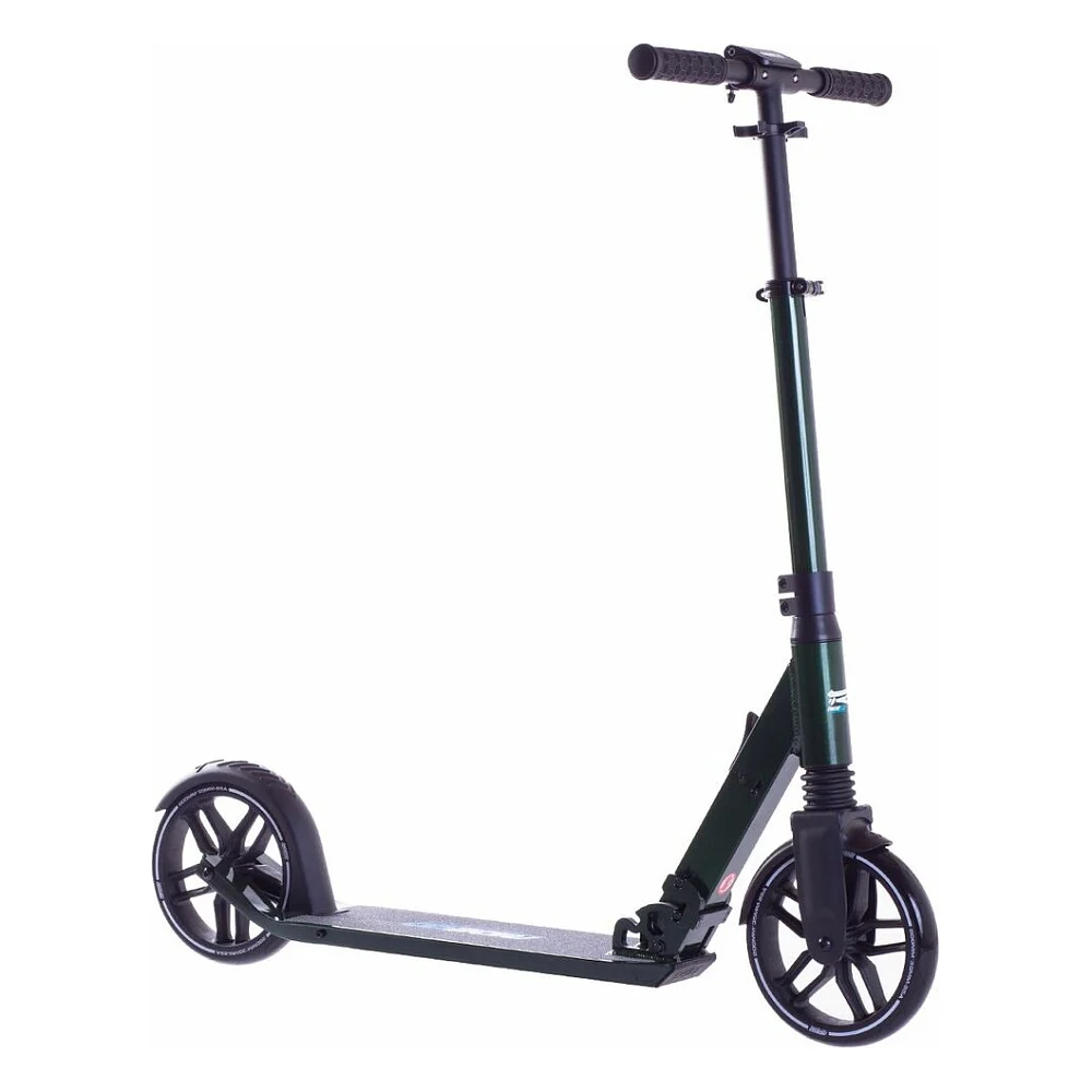 Самокат Rideoo 200 City Race Green (SKB-81-81)