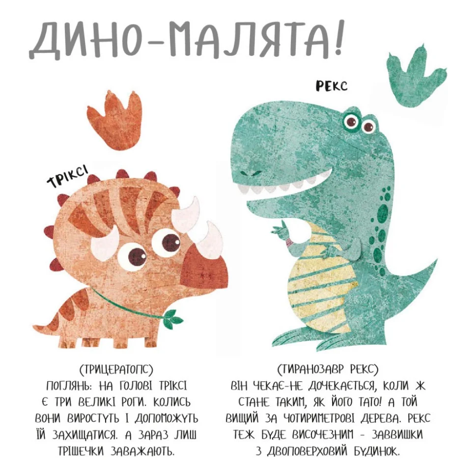 Книга Дино-малята. Великі пригоди маленьких друзів. Перший політ Террі #книголав (9786177563746) — фото 9