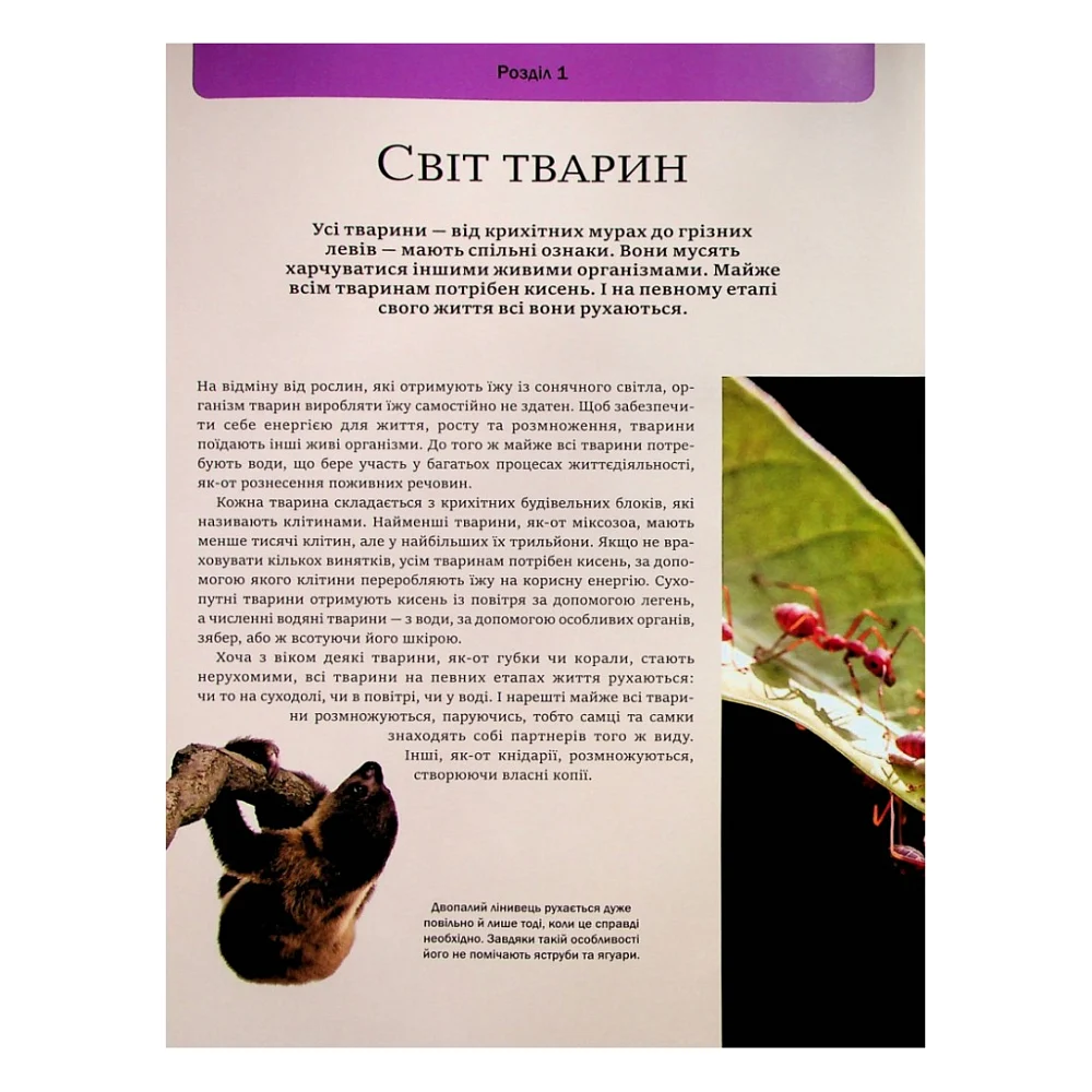 Книга Велика книга тварин - Клаудія Мартін Vivat (9786171704794) — фото 6