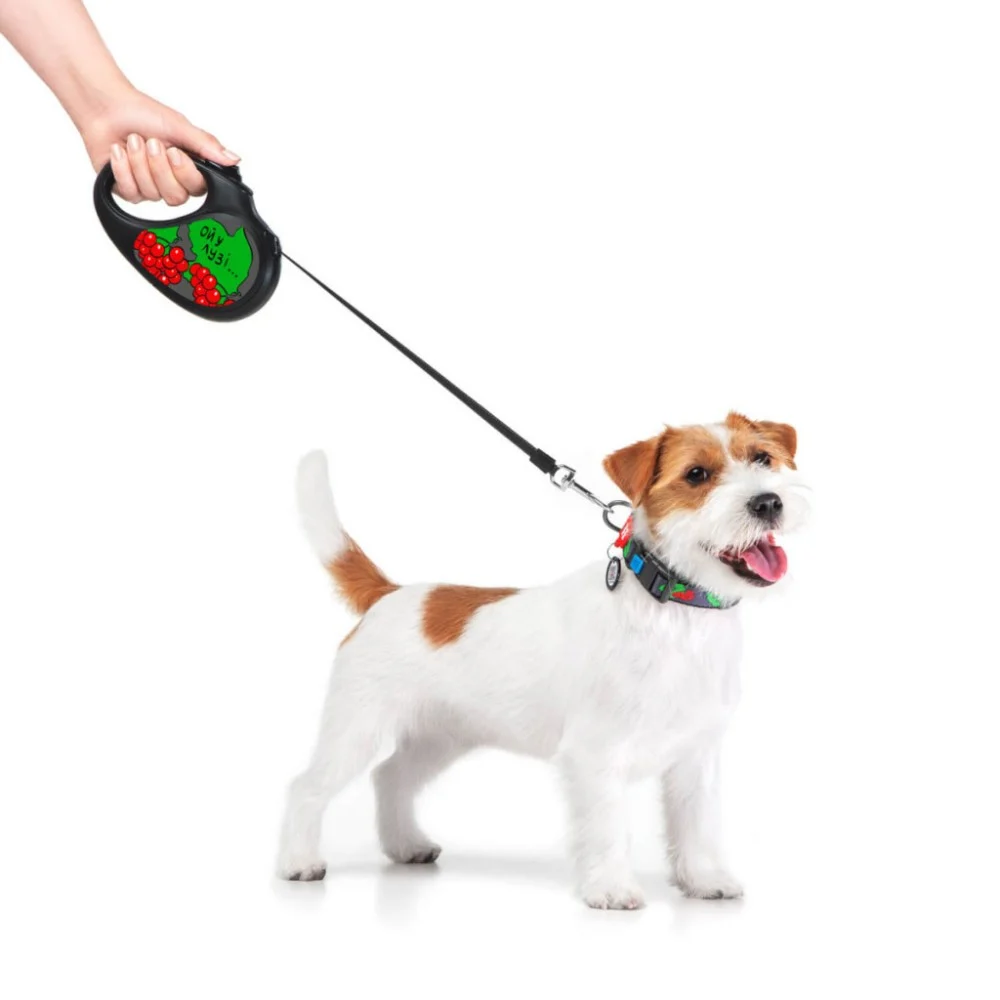 Повідок для собак WAUDOG R-leash Калина світловідбиваюча стрічка S 5 м (8124-0228-01) — фото 3
