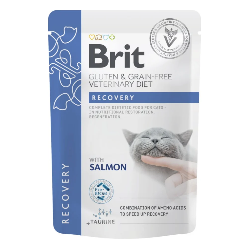 Вологий корм для кішок Brit GF VetDiets Recovery з лососем 85 г (8595602566693)