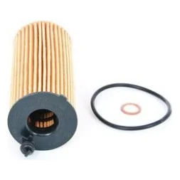 Фільтр масляний Bosch F026407205