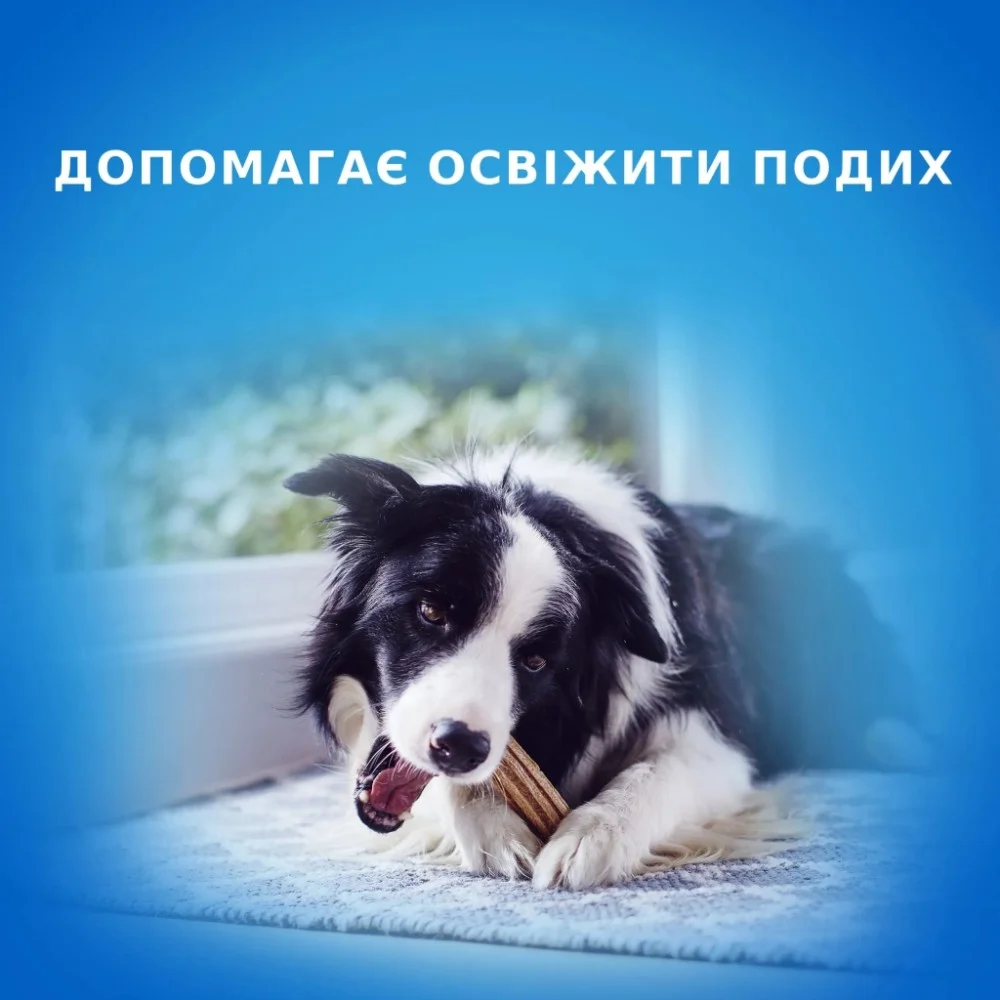 Ласощі для собак Purina DentaLife Small Для підтримки здоров'я порожнини рота 115 г, замовлення кратно 6 шт. (7613035379817) — фото 2