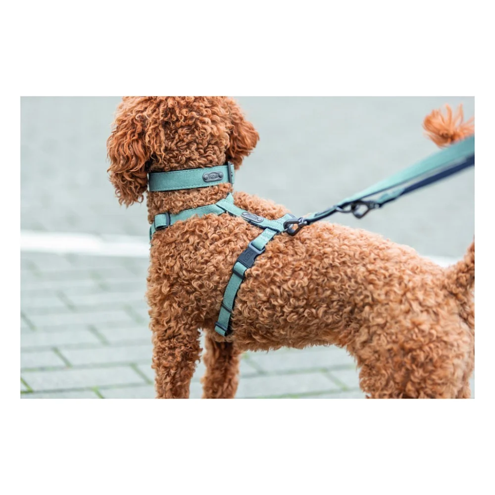 Шлея для собак Trixie CityStyle H-harness Бавовна XS–S 30–44 см 10 мм Світло-зелена (4053032682597) — фото 3