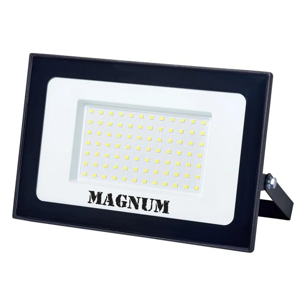 Прожектор MAGNUM FL12 ECO LED 100Вт slim 6500К IP65 (90018087)