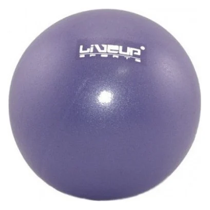 М'яч для фітнесу LiveUp Mini Ball LS3225-20p фіолетовий 20см (6951376103694)