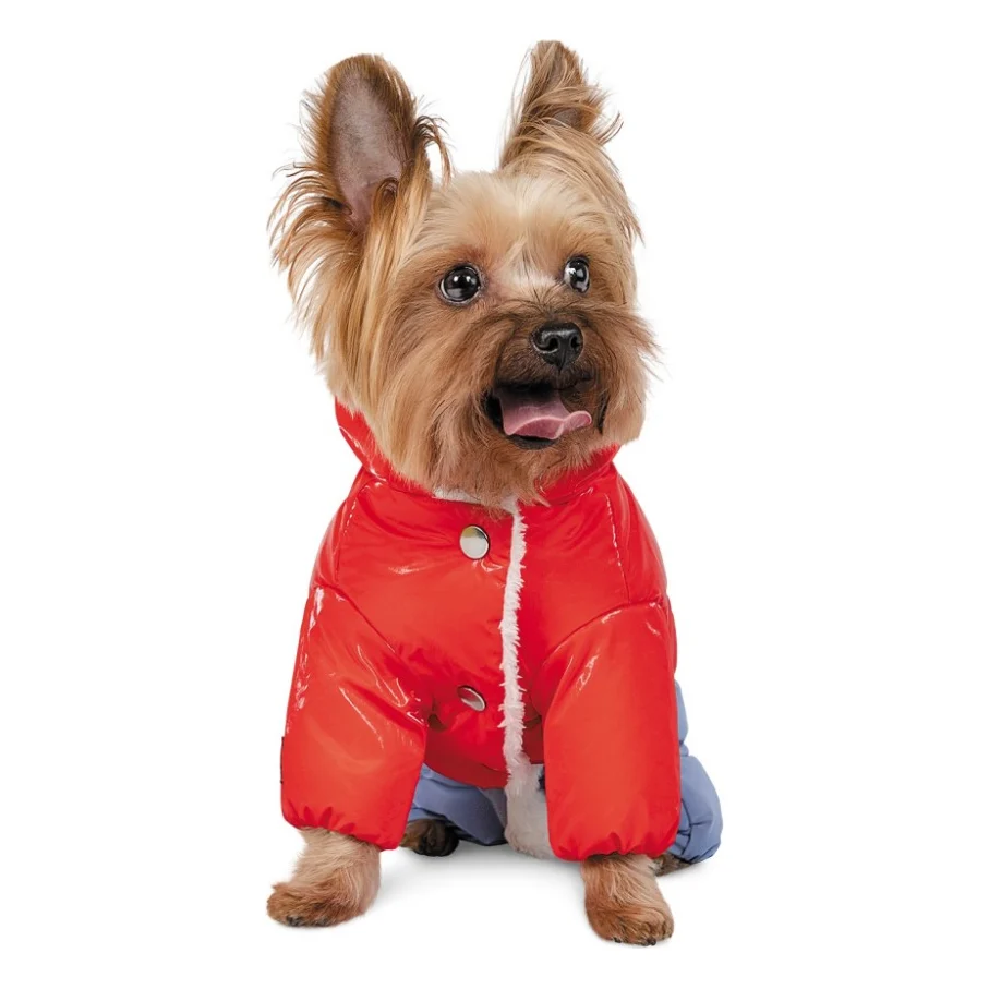 Костюм для тварин Pet Fashion "Pretty" S для дівчинки (4823082422630) — фото 2