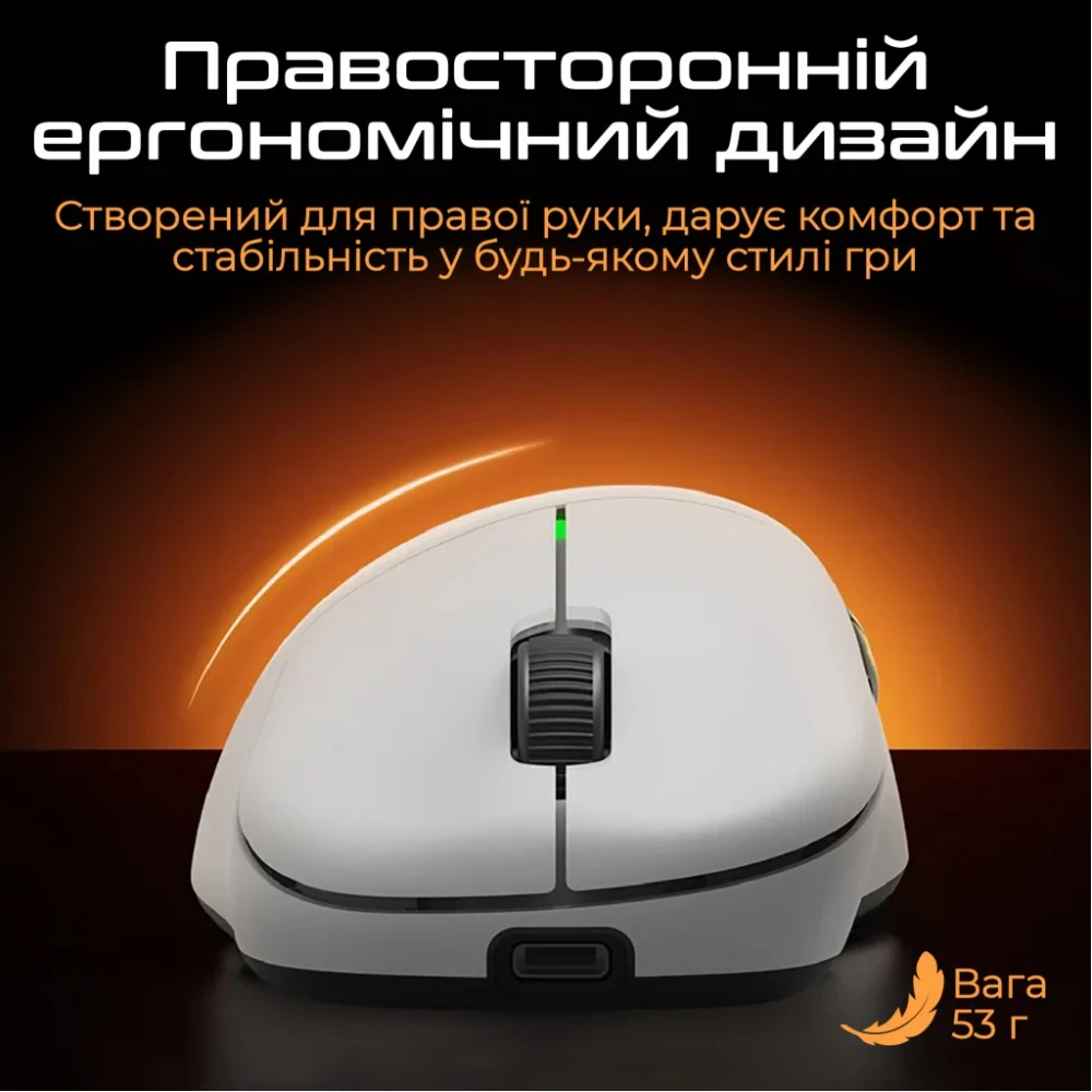 Мишка RAWM ER21 Wireless/Bluetooth Black (ER21.black) — фото 6