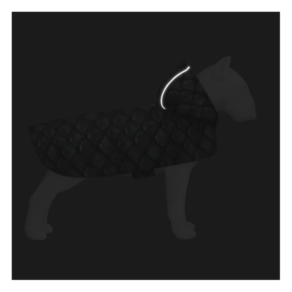 Дощовик для тварин WAUDOG Clothes з капюшоном "Луска" L (358-0179) — фото 4