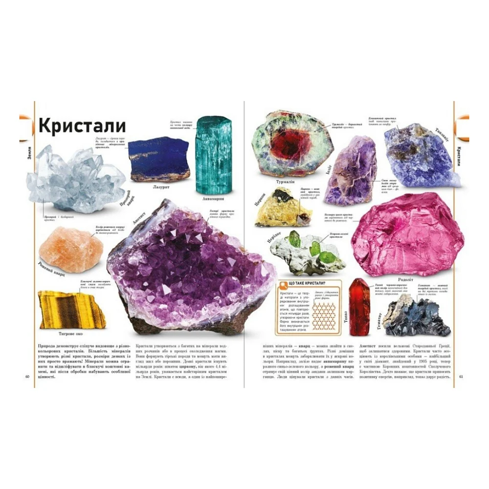 Книга Енциклопедія про все. Наш світ у малюнках Ранок (9786170987754) — фото 9