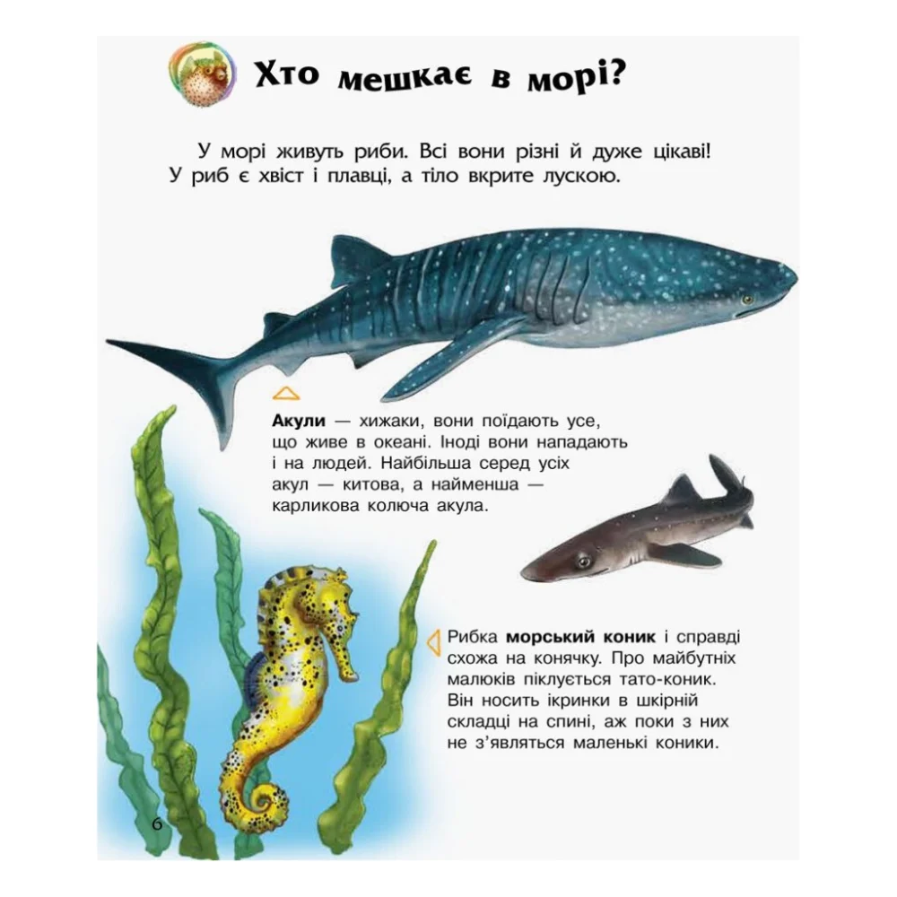 Книга Океани та моря. Енциклопедія дошкільника - Юлія Каспарова Ранок (9786170993489) — фото 6