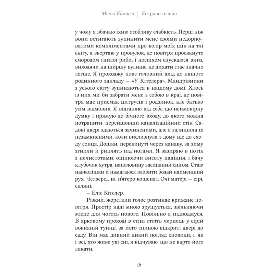 Книга Яскраво палаю - Моллі Ейткен Yakaboo Publishing (9786178225674) — фото 11