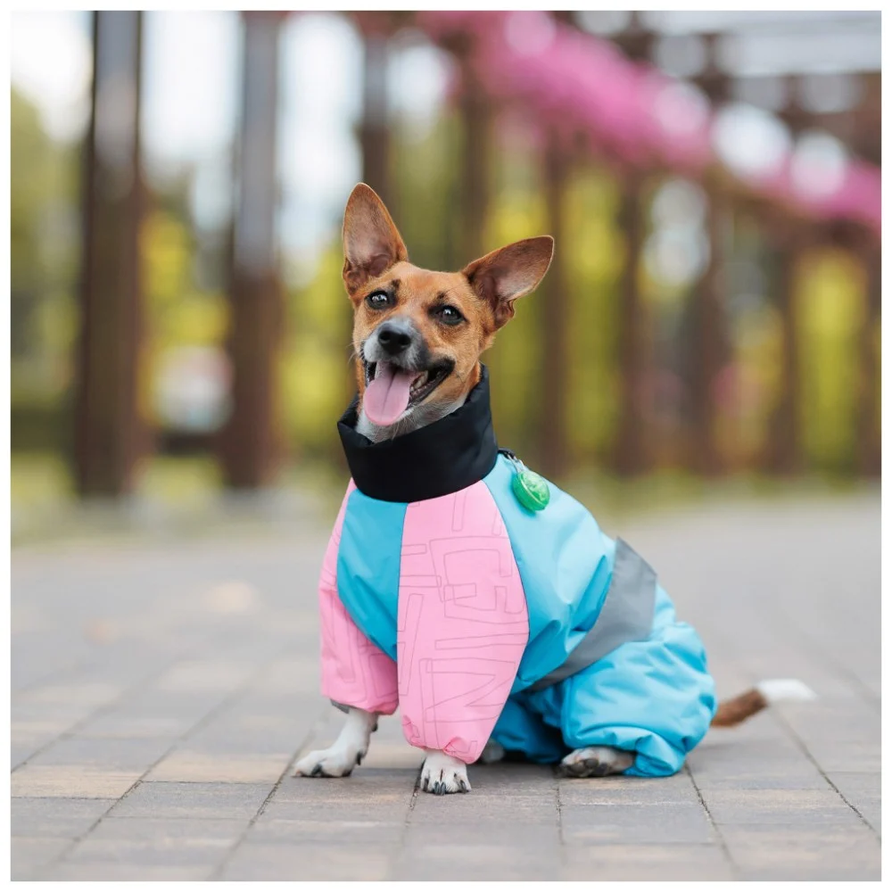 Комбінезон для тварин Pet Fashion Milly SМ (4823082439867) — фото 4