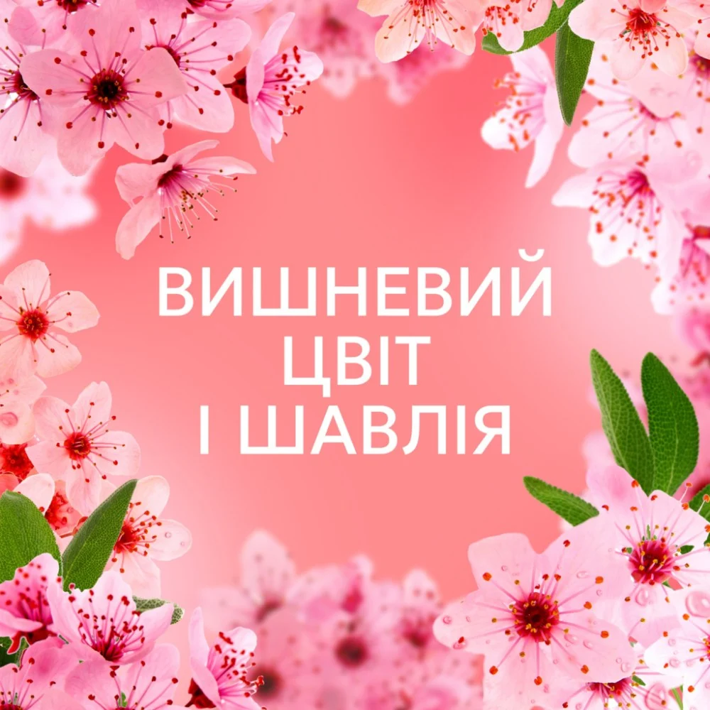 Кондиціонер для білизни Lenor Вишневий цвіт та шавлія 1.239 л (8700216723602) — фото 6