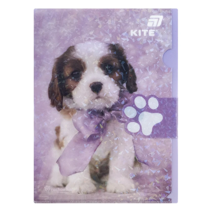 Папка - куточок Kite із клапаном A4 Rachael Hale (R25-248)