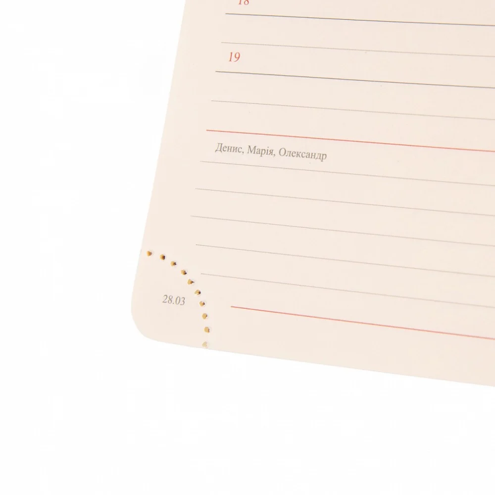 Тижневик Leo planner датований 2025 Identico 12x20 см синій (252512) — фото 8