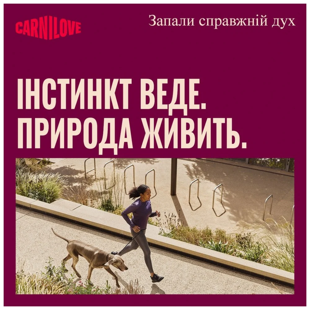 Ласощі для собак Carnilove Soft Snack Sardines with Wild garlic 200 г (8595602582624) — фото 7