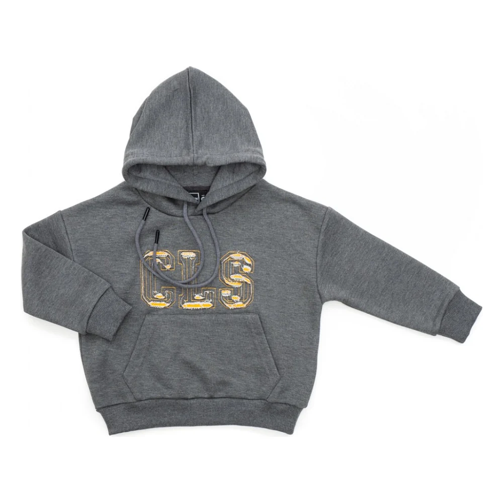 Кофта дитяча Cloise худі CLS (CL0115009-128B-gray)