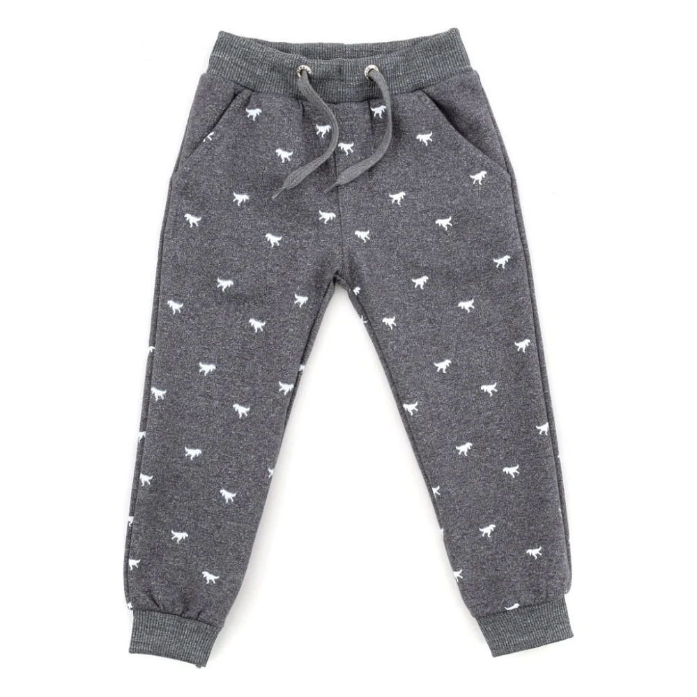 Штани дитячі Breeze з динозавриками (16191-110B-gray)