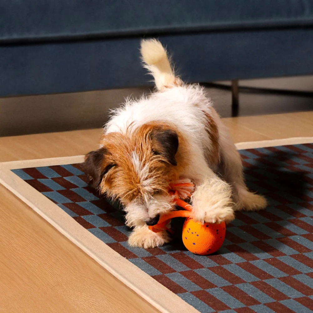 Іграшка для собак Cheerble Wicked Ball Rolly (Bright Orange) (CWQ07O) — фото 7