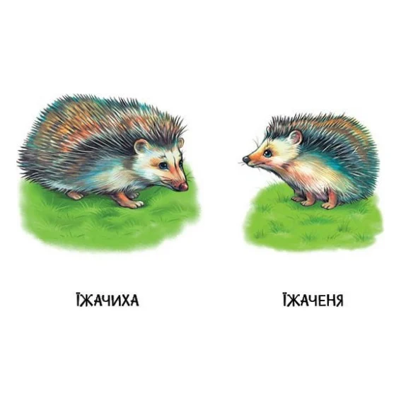 Книга 22 картинки. Мами і дитинчата Ранок (9786178773786) — фото 2
