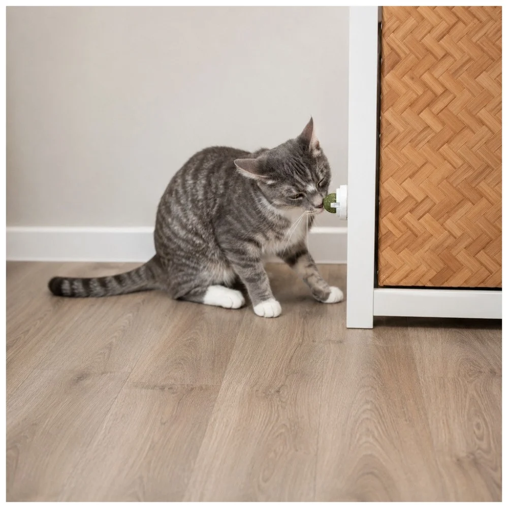 Іграшка для котів Trixie Куля з котячої м'яти з тримачем 5 см (4011905422428) — фото 4