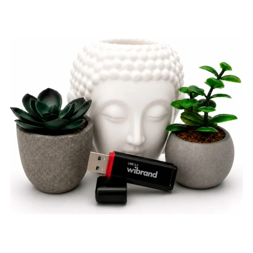 USB флеш накопичувач Wibrand 32GB Scarab Black USB 3.2 (WI3.2/SC32P11B) — фото 5