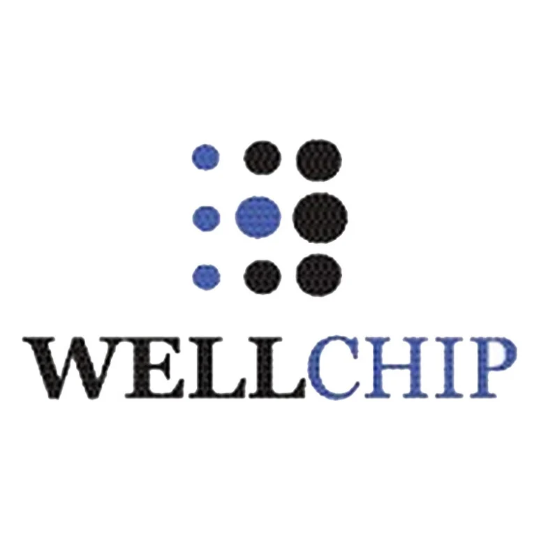 Чип для картриджа Brother TN-2510, HL-L2400/DCP-L2627/MFC-L2860, 1.2K Wellchip (CBTN2510)