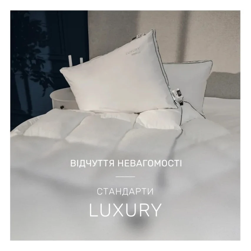 Ковдра MirSon Набір 9592 Luxury Exclusive Ковдра зимова Євро 200х220 EcoSilk + Дві подушки 50х70 (2200010807202) — фото 2