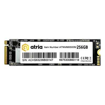 Накопичувач SSD M.2 2280 256GB X500S ATRIA (ATNVMX500S/256)