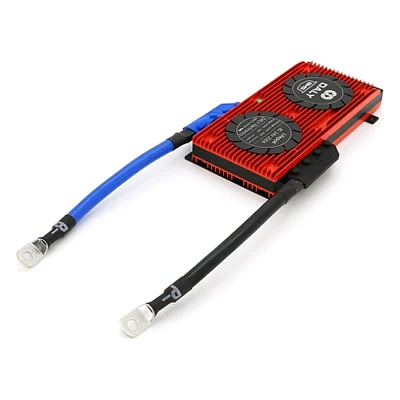 BMS контролер DaLy LiFePO4 24V 8S 250A (DL8S-250A)
