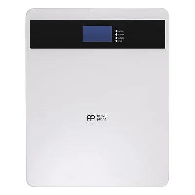 Батарея LiFePo4 PowerPlant 25.6V 100Ah 2560Wh (NV823185)