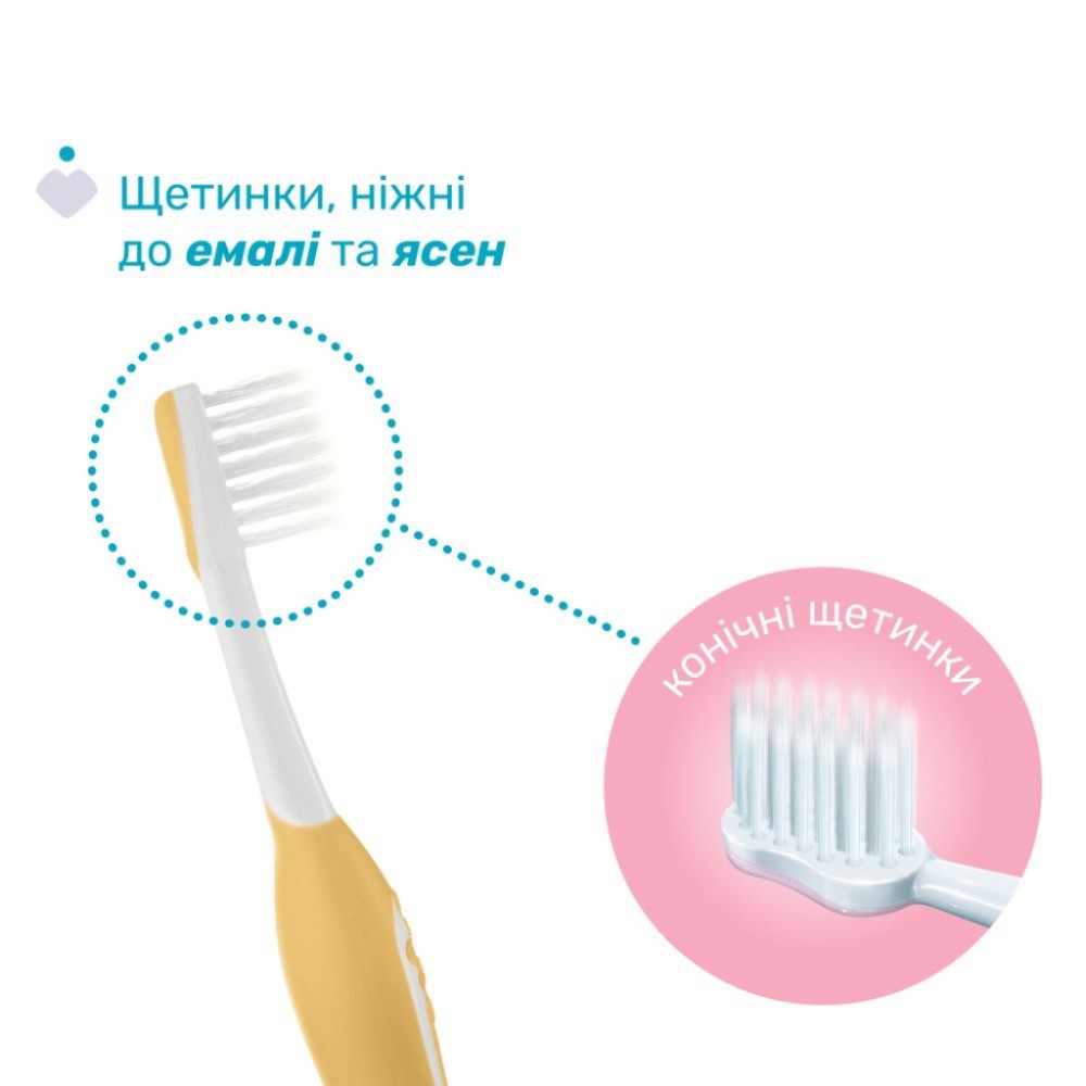 Дитяча зубна щітка Chicco 6-36 міс., 2 шт. бузково/жовта (8058664174706) (12082.00) — фото 2